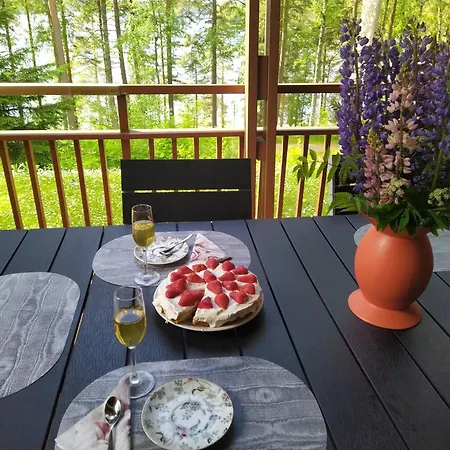 Saimaan Rantavilla Zebra Ferienhaus Imatra